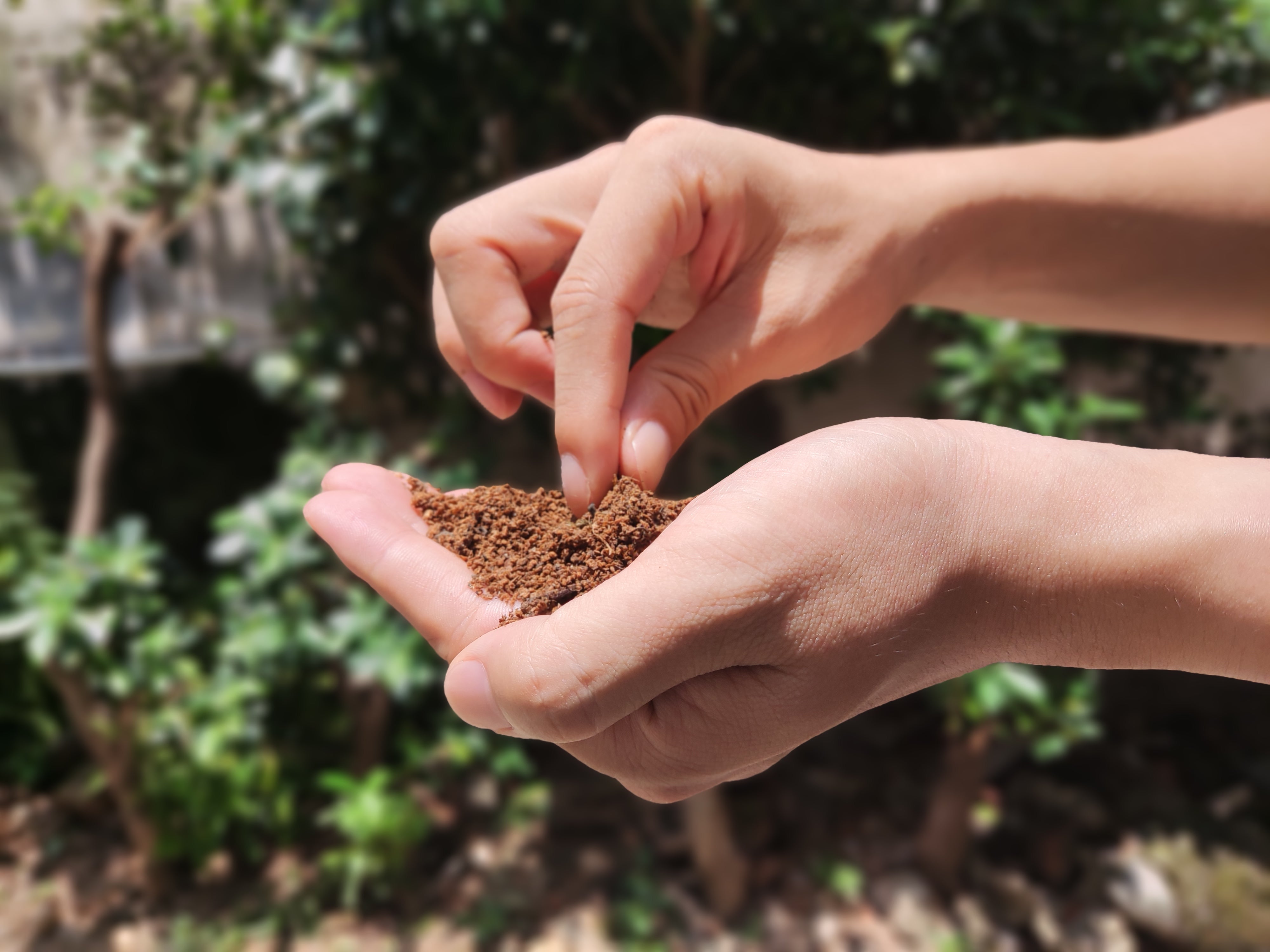 How to Use Compost Correctly: Garden, Raised Beds, Pots & Lawn Guide