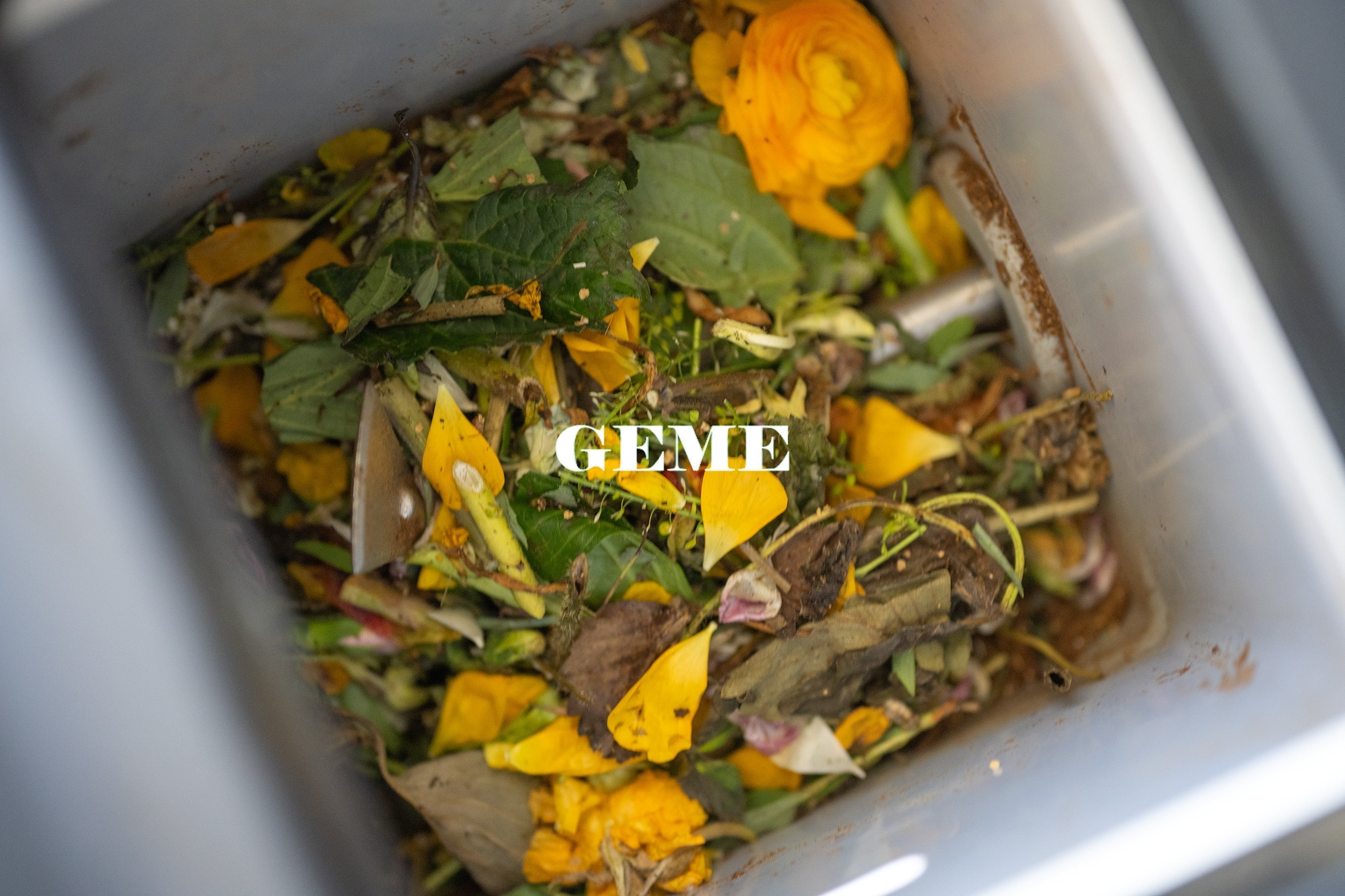 Can I Compost Cut Flowers?