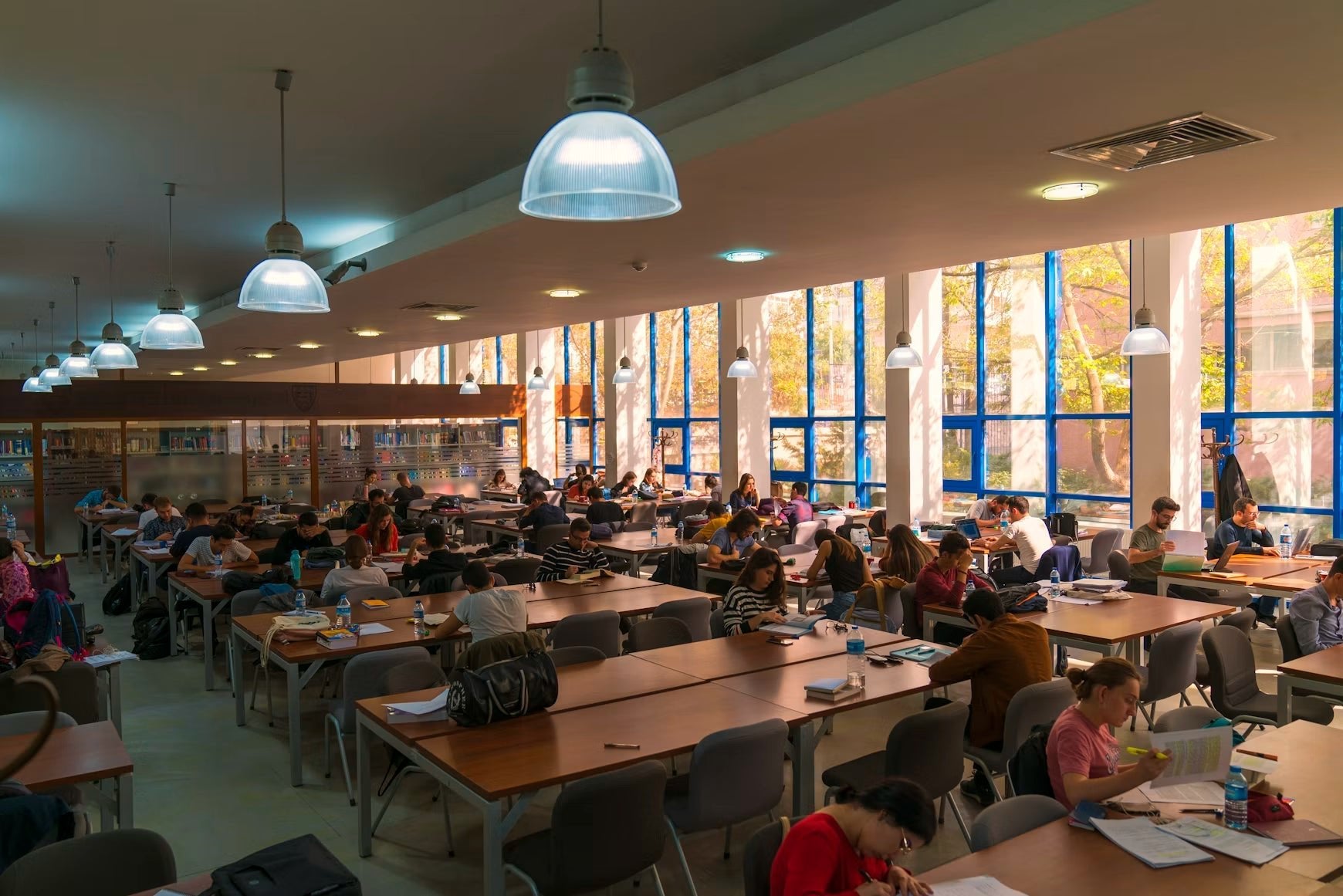Composting at School: How to Start a School Composting Program - GEME