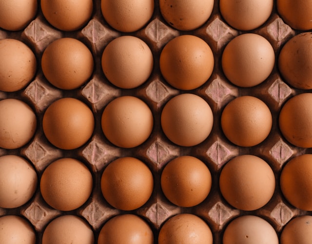 How Long Do Eggs Last in the Fridge? Egg Expiration, Safety & Composting Guide