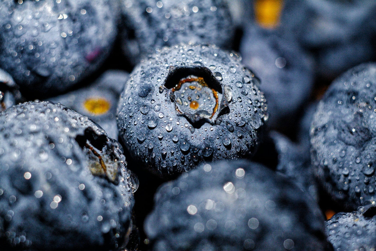 How Long Do Blueberries Last in the Fridge? Storage, Freezing & Compost Guide