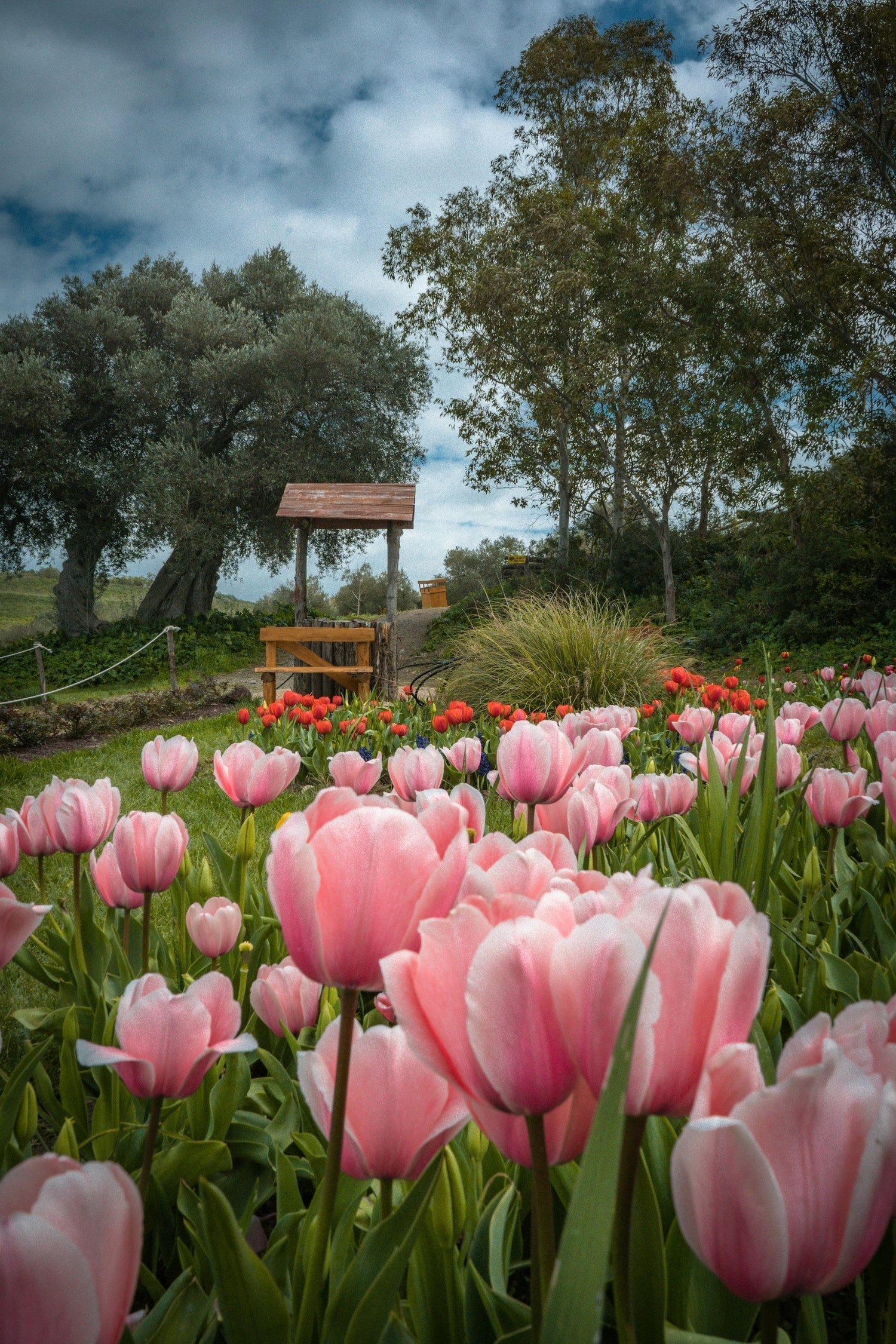 How to Fertilize Your Garden in Spring: Best Spring Plants Fertilizer and Compost