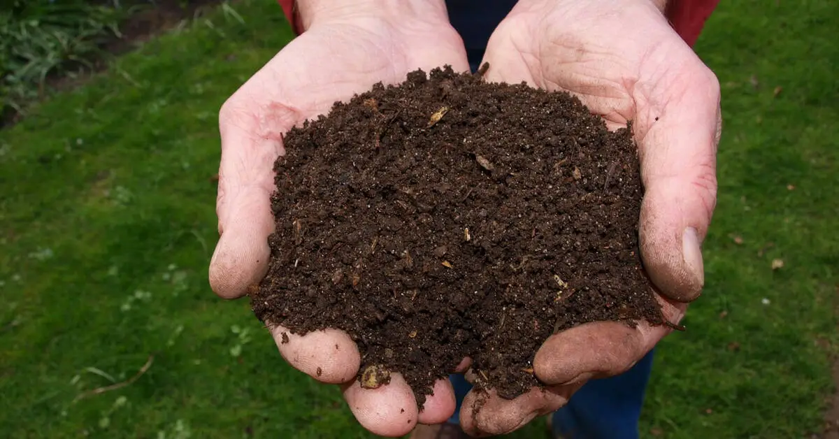 when is compost ready to use