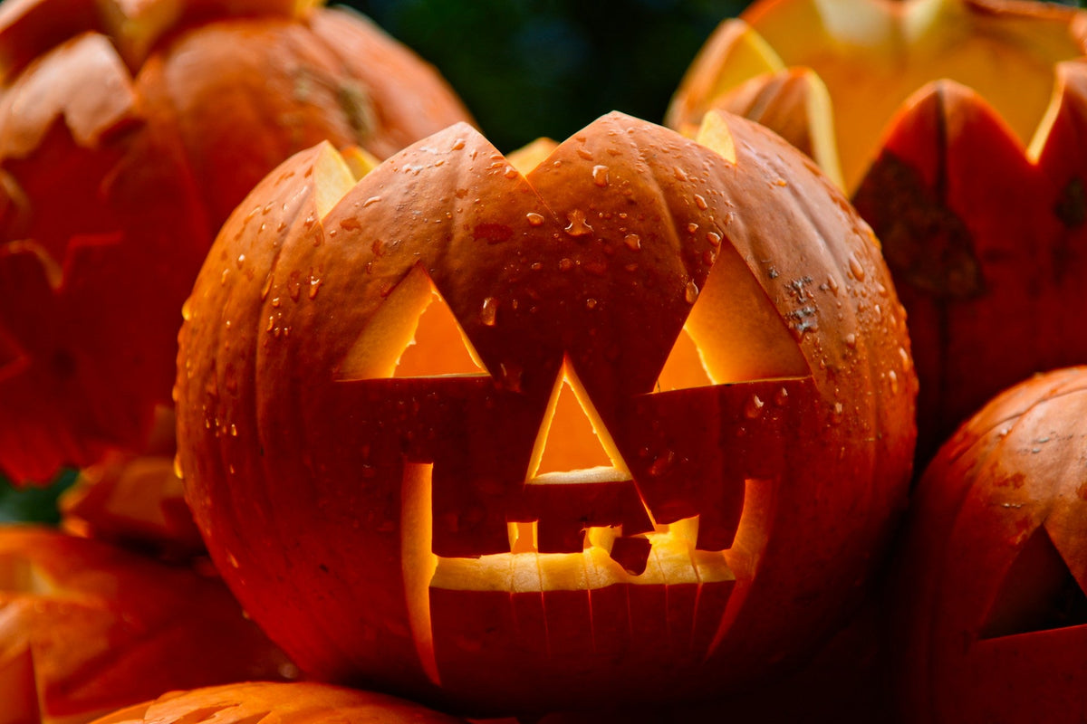 Can You Compost Pumpkins After Halloween?