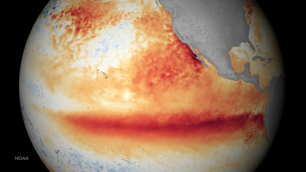 El Niño 2026 Forecast: Super El Niño, Extreme Weather & U.S.-Europe Impacts