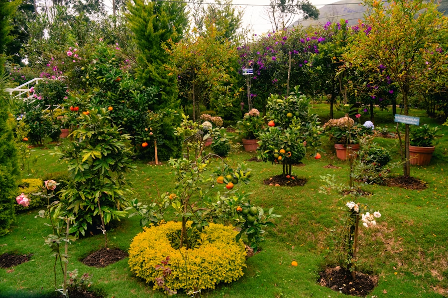 Unlocking Black Gold: The Power of High-Quality Compost