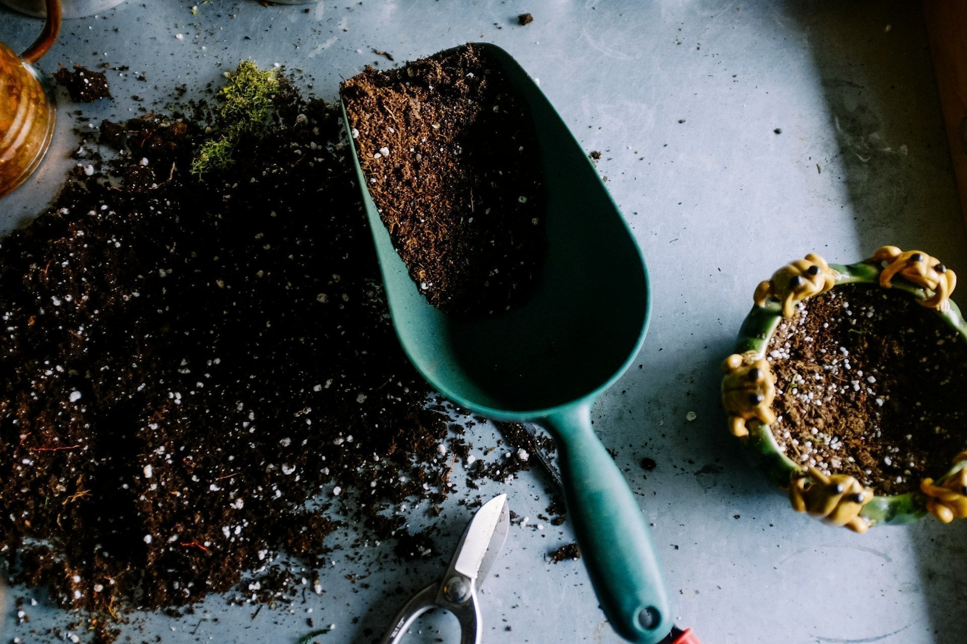 How to Plant a Garden for Beginners: 10 Essential Gardening Tips and Composting Secrets