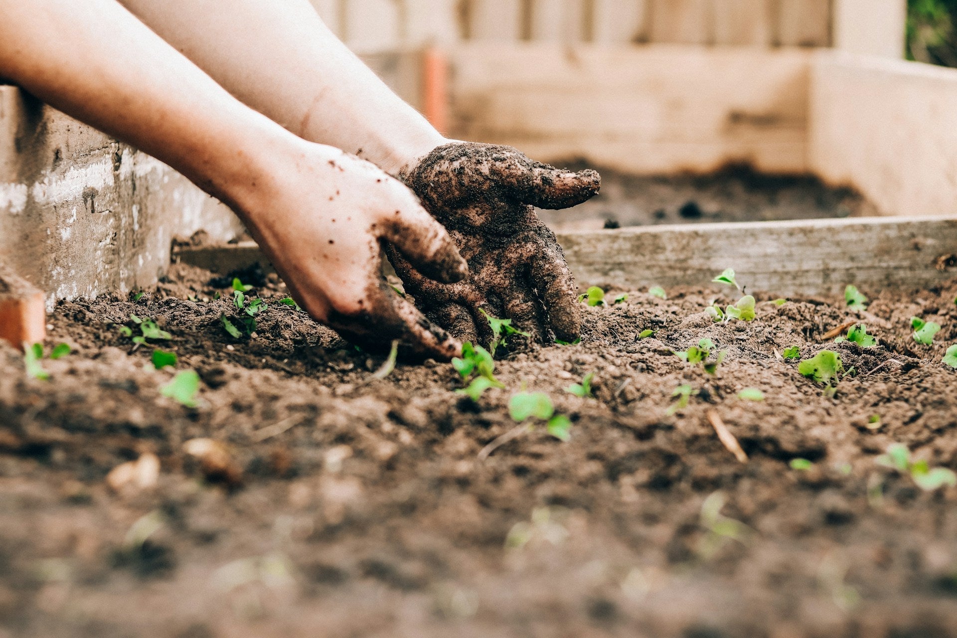 How to Reduce Odor: Practical Tips for Indoor Composting That Actually Work