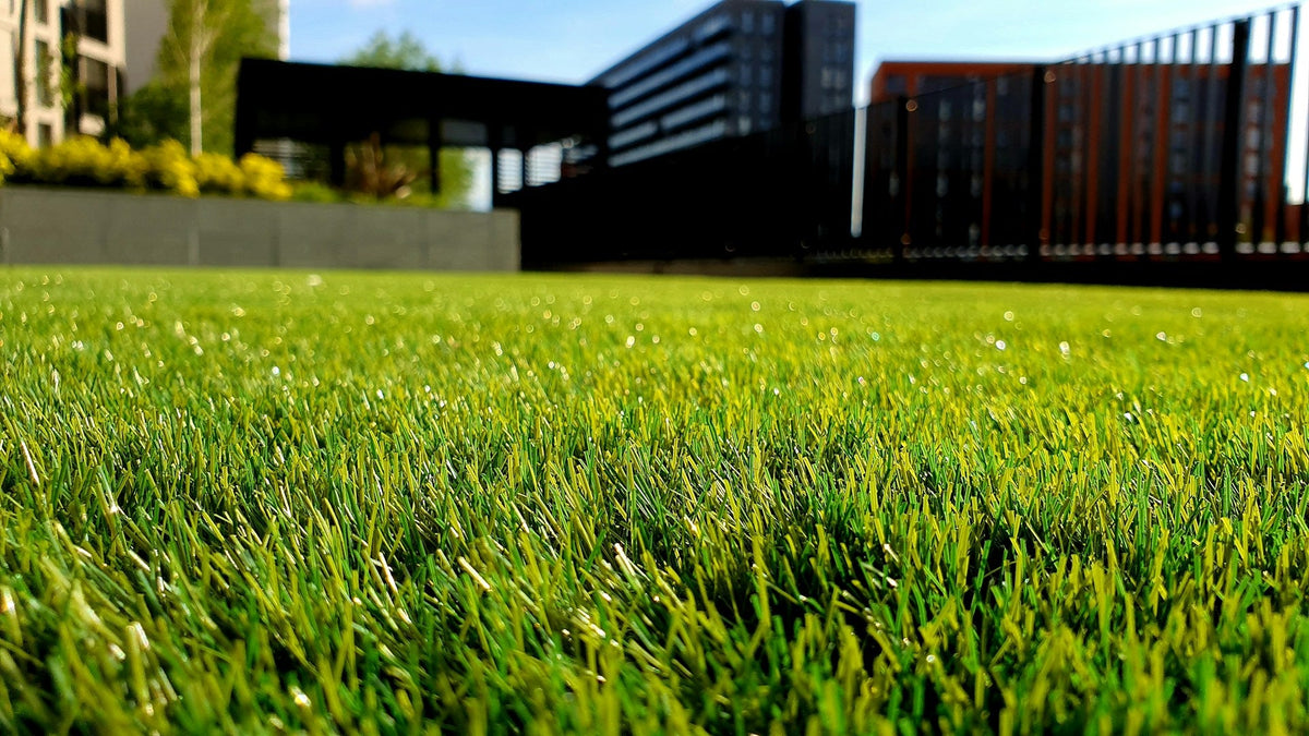 Compost for Lawns: Topdressing and Soil Improvement