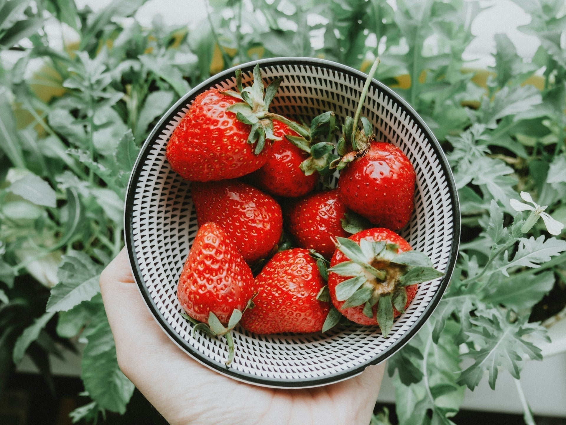 The Best Way to Store Strawberries: Keep Strawberries Fresh Longer & Reduce Food Waste