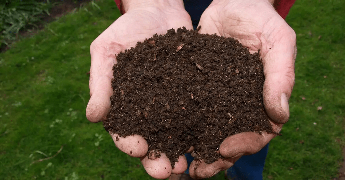 When Is Compost Ready to Use? 5 Signs Your Compost Has Matured - GEME