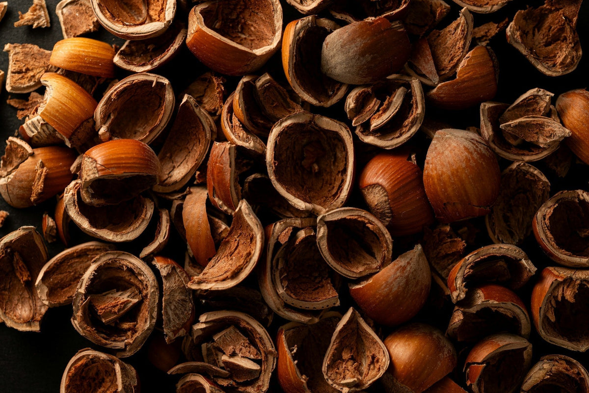 Can You Compost Nut Shells?